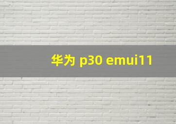 华为 p30 emui11